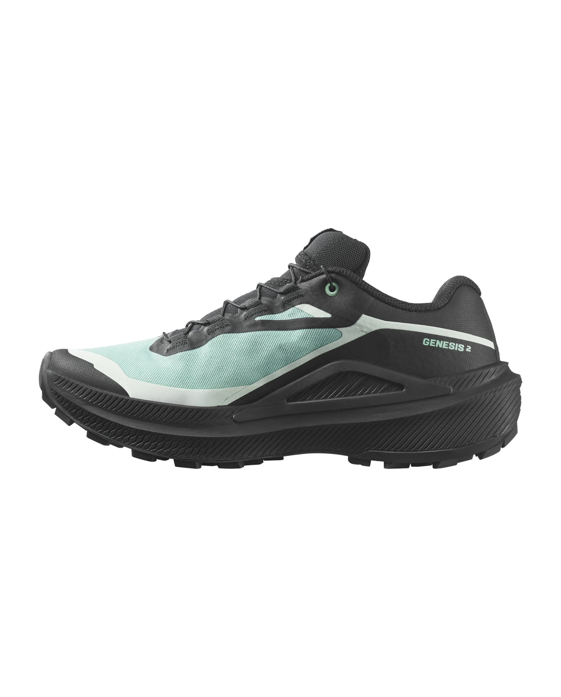 Обувки Salomon GENESIS 2 GTX W Lichen/Blk/Claqu — view 2