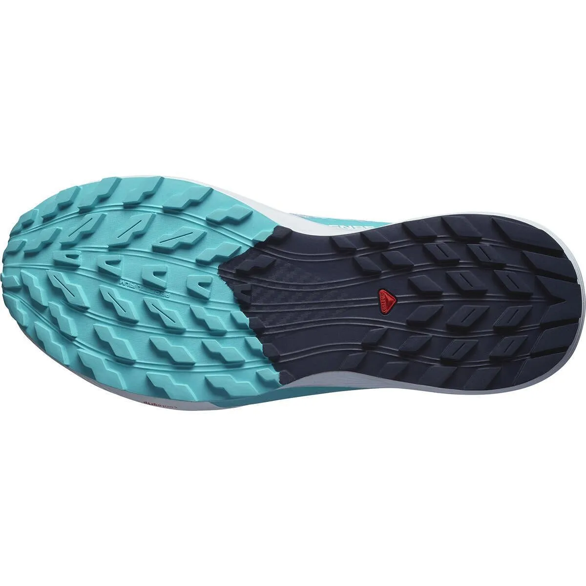 Дамски обувки за бягане Salomon SENSE RIDE 5 W Cashbl/Carbon/Peabl — view 6