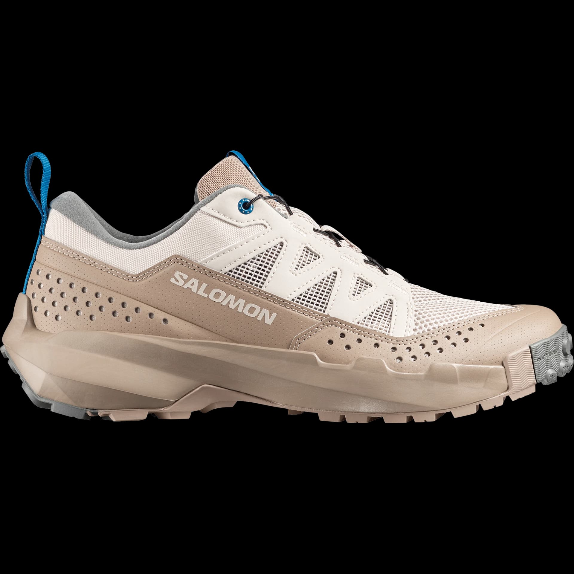 Мъжки Обувки Salomon TERRAMPHIBIAN Rainy/Dsrtan/Mkn