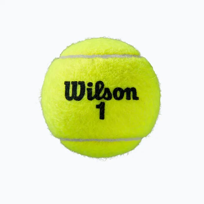 Топки за тенис ROLAND GARROS ALL CT 4BALL 2PK — снимка 2